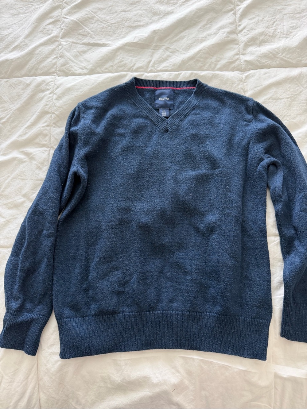 GAP Navy Blue V-Neck Sweater